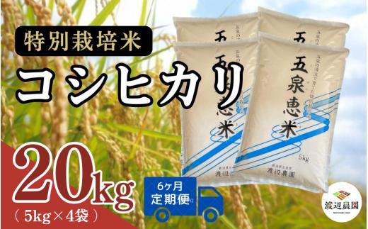 【令和6年産新米】 〈6回定期便〉渡辺農園の特別栽培米コシヒカリ 20kg(5kg×4袋) 新潟県 五泉市 渡辺農園 [9月下旬以降順次発送]