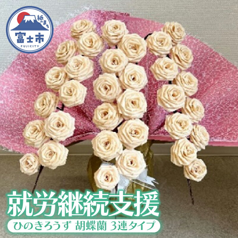 【ふるさと納税】【就労継続支援】 ひのきろうず 胡蝶蘭 3連タイプ 鉢付き 富士檜 インテリア ギフト 贈答 プレゼント 雑貨 日用品 富士市 【配送不可地域：沖縄本島・離島】 [sf068-031]