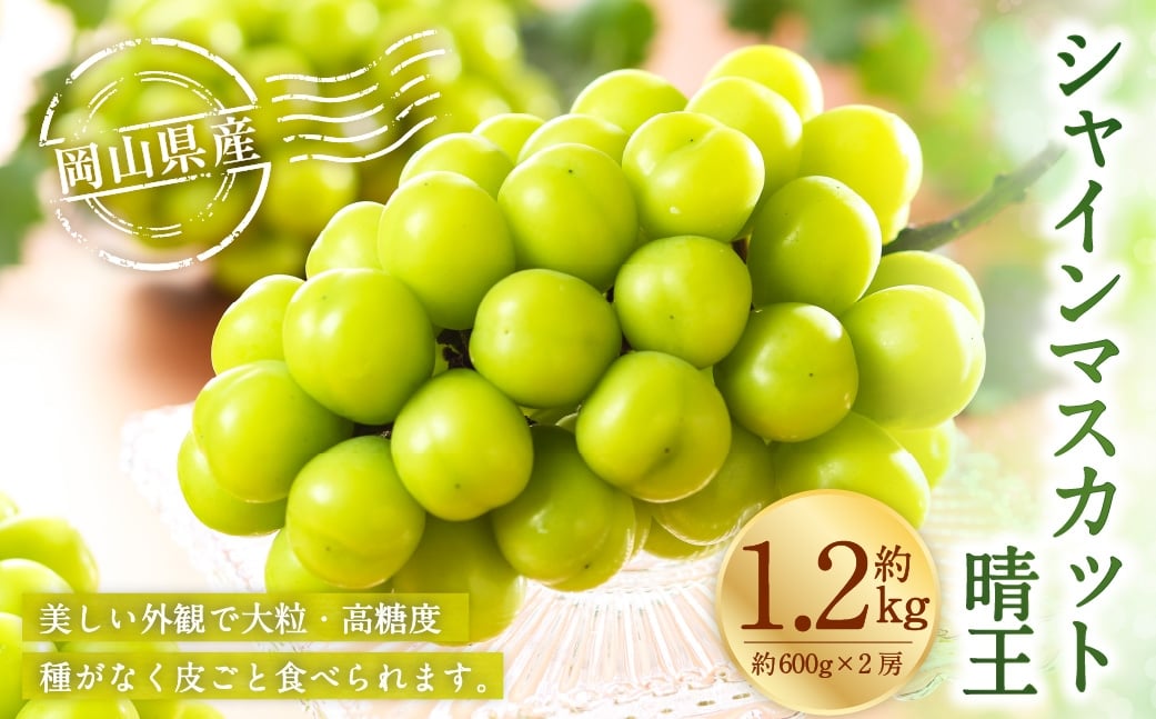 
                  岡山県産 シャインマスカット 晴王 約1.2kg （ 600g×2房 ） ぶどう ブドウ 葡萄 マスカット 果物 くだもの フルーツ 国産 【 2026年8月下旬～11月下旬発送予定 】
                