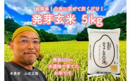 農家直送『山ちゃんの発芽玄米』5kg【10月1日発送開始】