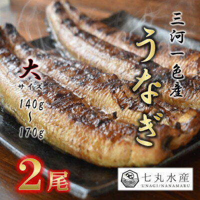 【ふるさと納税】【国産うなぎ】三河一色産　炭火蒲焼き(タレ付き) 2尾～10尾(サイズ選択可:通常/大/特大)【配送不可地域：離島】【G1659388】