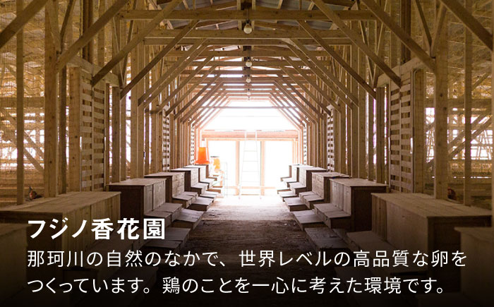 【12回定期便】【TVで紹介！】【鮮度ＡＡ級の世界最高ランク！】金太郎卵 平飼い たまご 24個（6個×4パック）＜有限会社フジノ香花園＞那珂川市 [GAM035]