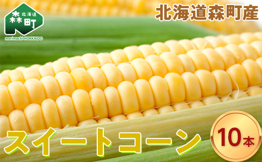 【先行予約】スイートコーンイエロー Lサイズ 10本 北海道森町産 （令和7年7月下旬から順次発送予定） <こうのファーム> とうもろこし トウモロコシ とうきび トウキビ 唐黍 mr1-0894