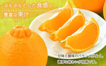 ［先行予約］不知火（完熟栽培）15玉～28玉 約5kg 家庭用【和歌山 海南市 農園直送】