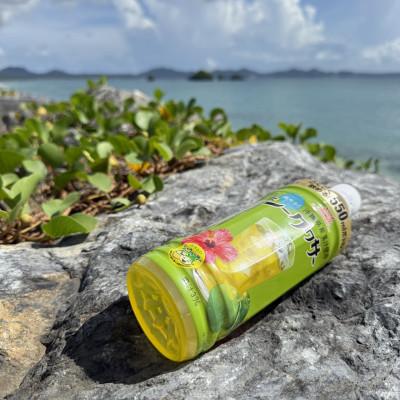 ふるさと納税 本部町 沖縄ボトラーズのシークヮサードリンク 550ml×24本 |  | 02