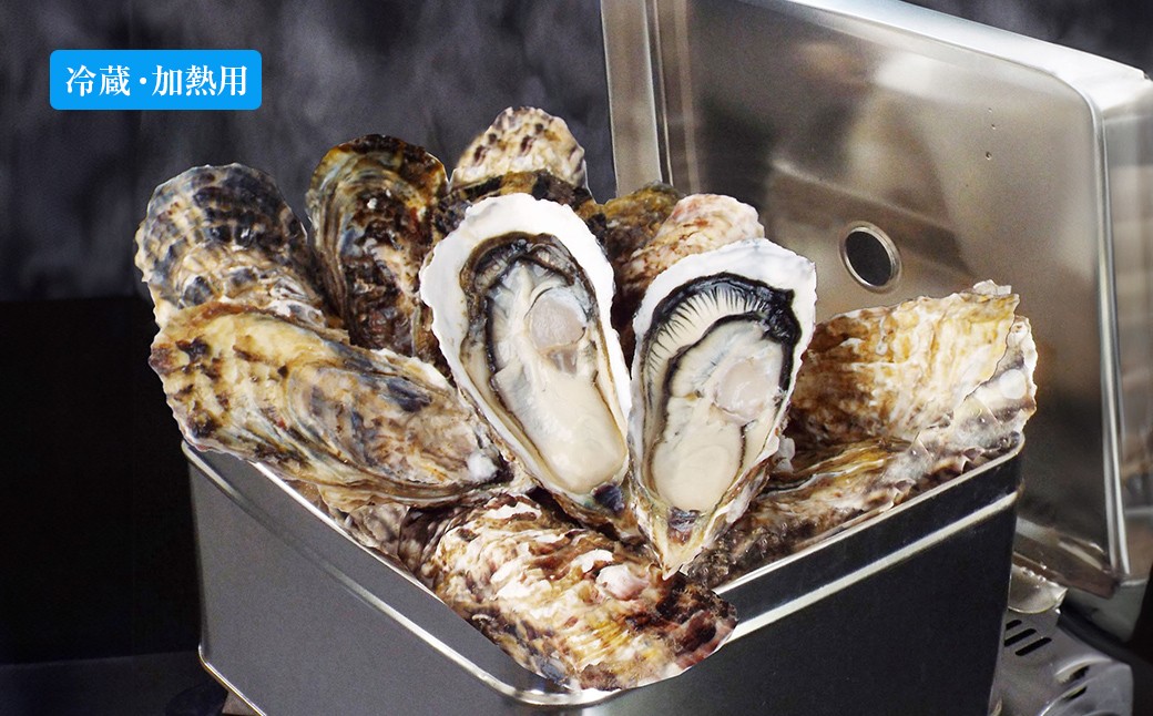 
                  カンカン浜焼き牡蠣セット 宮城県産 生牡蠣 牡蛎 牡蠣 カキ オイスター カンカン焼き 海鮮 国産 魚介 バーベキュー BBQ 蒸し牡蠣 焼き牡蠣 浜焼き 簡単調理 【株式会社和がき】ta709
                