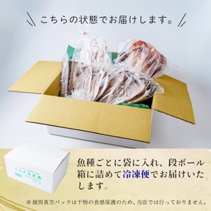 【ミツダ水産】特選ひものセット　012-001（干物 ひもの 金目鯛 イカ アジ エボ鯛 サンマ 魚 おつまみ つまみ 干物 魚）