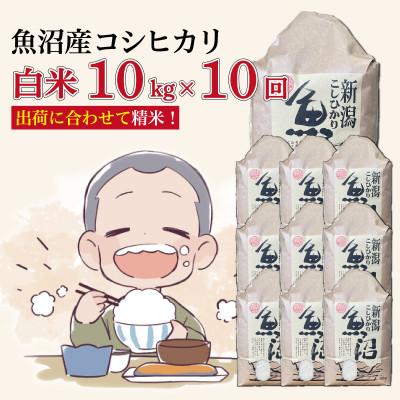 ふるさと納税 十日町市 【毎月定期便】魚沼産コシヒカリ【精米】10kg全10回