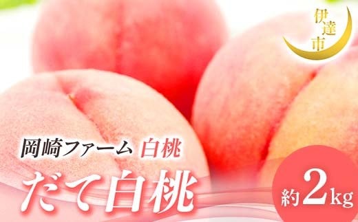 
            【2026年出荷分先行予約】福島県産 だて白桃 約2kg (4～7玉) 岡崎ファーム 伊達の桃 桃 フルーツ 果物 もも モモ momo F21C-311
          