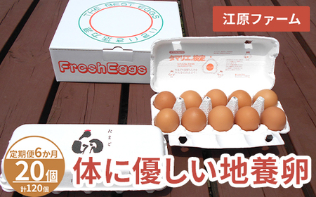 【定期便6か月】 江原ファーム　体に優しい地養卵（20個）| 卵 たまご タマゴ _AG23