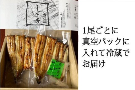 G18-03 しげ吉 炭火焼 うなぎ白焼き 2本セット（冷蔵）