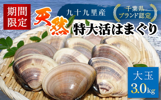 【千葉県ブランド認定】天然特大活はまぐり《3㎏》ギフトBOX付き／ふるさと納税 はまぐり ハマグリ 蛤 貝類 魚介 海鮮 お吸い物 パスタ パエリア お歳暮 贈答 お祝い 千葉県 山武市 SMBO006