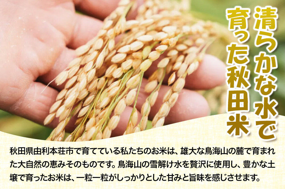 《新米受付》令和8年産【無洗米】ひとめぼれ 10kg [新米予約 ひとめぼれ 米 お米 こめ 無洗米 ブランド米 食卓 おにぎり 秋田県産 秋田]