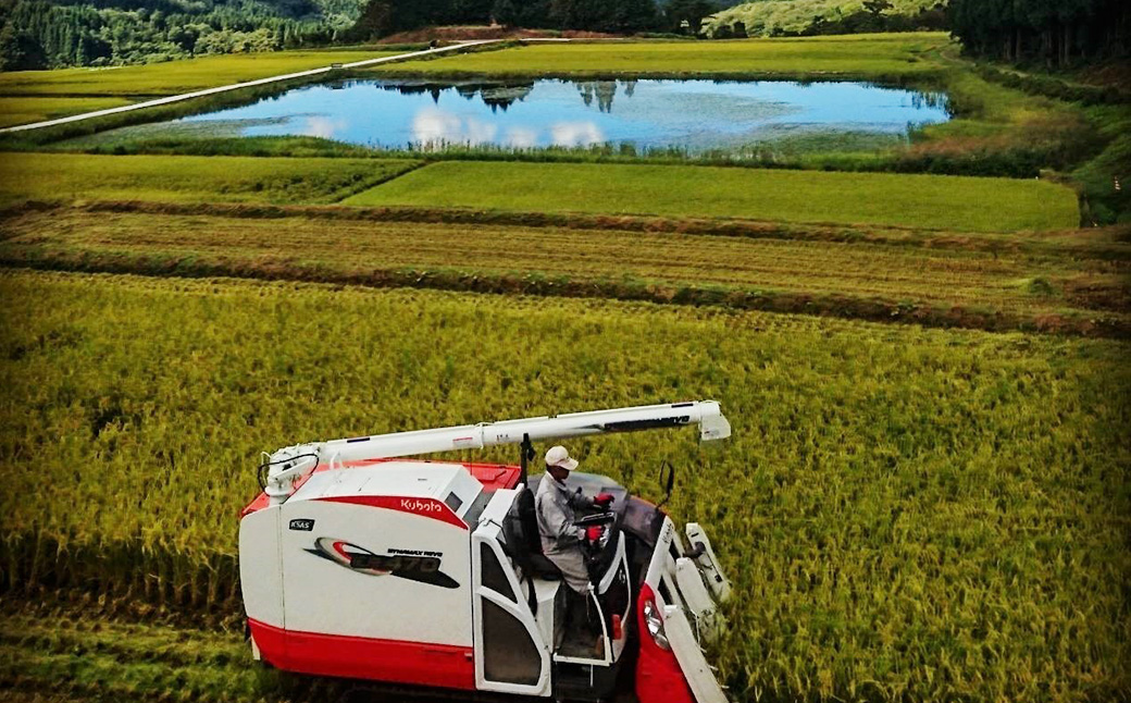 【新米受付・令和7年産米】【定期便：2ヶ月連続でお届け】新潟県岩船産 棚田米コシヒカリ 6kg（2kg×3袋）+パックごはん(150g×1個) ×2ヶ月 1067111N