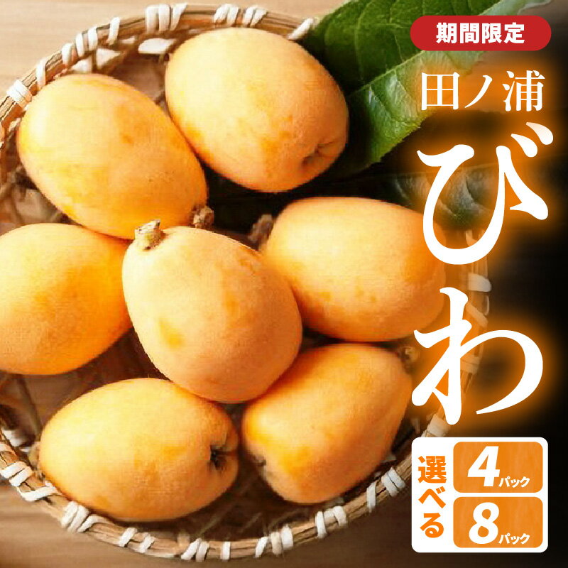 【ふるさと納税】【期間限定】田ノ浦びわ 【選べる内容量】 約1.08kg(270g×4パック)～ 数量限定 びわ ビワ 枇杷 果物 フルーツ 甘い 大容量 季節限定 旬 デザート 国産 九州産 大分産 長崎早生 茂木 なつたより おやつ たっぷり ジャム お取り寄せ 高級 C07013 C07014