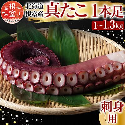 ふるさと納税 根室市 【北海道根室産】真たこ1本足1〜1.3kg A-19004 | 