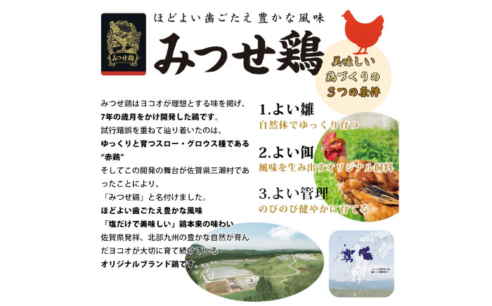 生チキ【みつせ鶏プレーン味】鶏生ウインナー 計10本（各40g×5本×2P）/ ソーセージ / 佐賀県 / 山代ガス株式会社 旬菜舎さと山 [41AABM053]