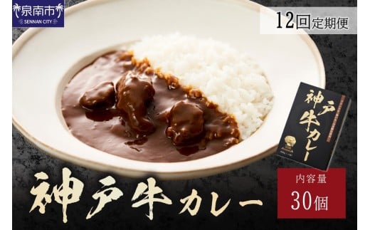 神戸牛カレー200g×30個セット 12ヶ月定期便【108A-008】