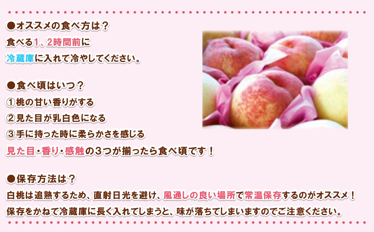 【2027年発送分・先行予約開始！】岡山県産 白桃 最高ランク！「ロイヤル」約1.5kg 5～7玉（令和9年7月以降発送）【先行受付 先行予約 白桃 ロイヤル フルーツ 果物 もも 桃 モモ 岡山県産