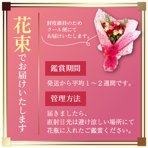 【 薔薇 ＆ ワイン セット 】バラ 花束 12本 色 赤ピンク系 ＆ 赤ワイン 1本 （ ローズ フラワー 花 ブーケ 薔薇 新鮮 ばら 高品質 綺麗 ご褒美 花束 草花 誕生日 記念日 母の日 父