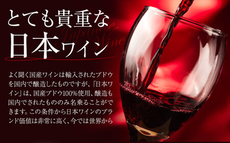 日本ワイン 750ml 2本《30日以内に出荷予定(土日祝除く)》 ワイン
