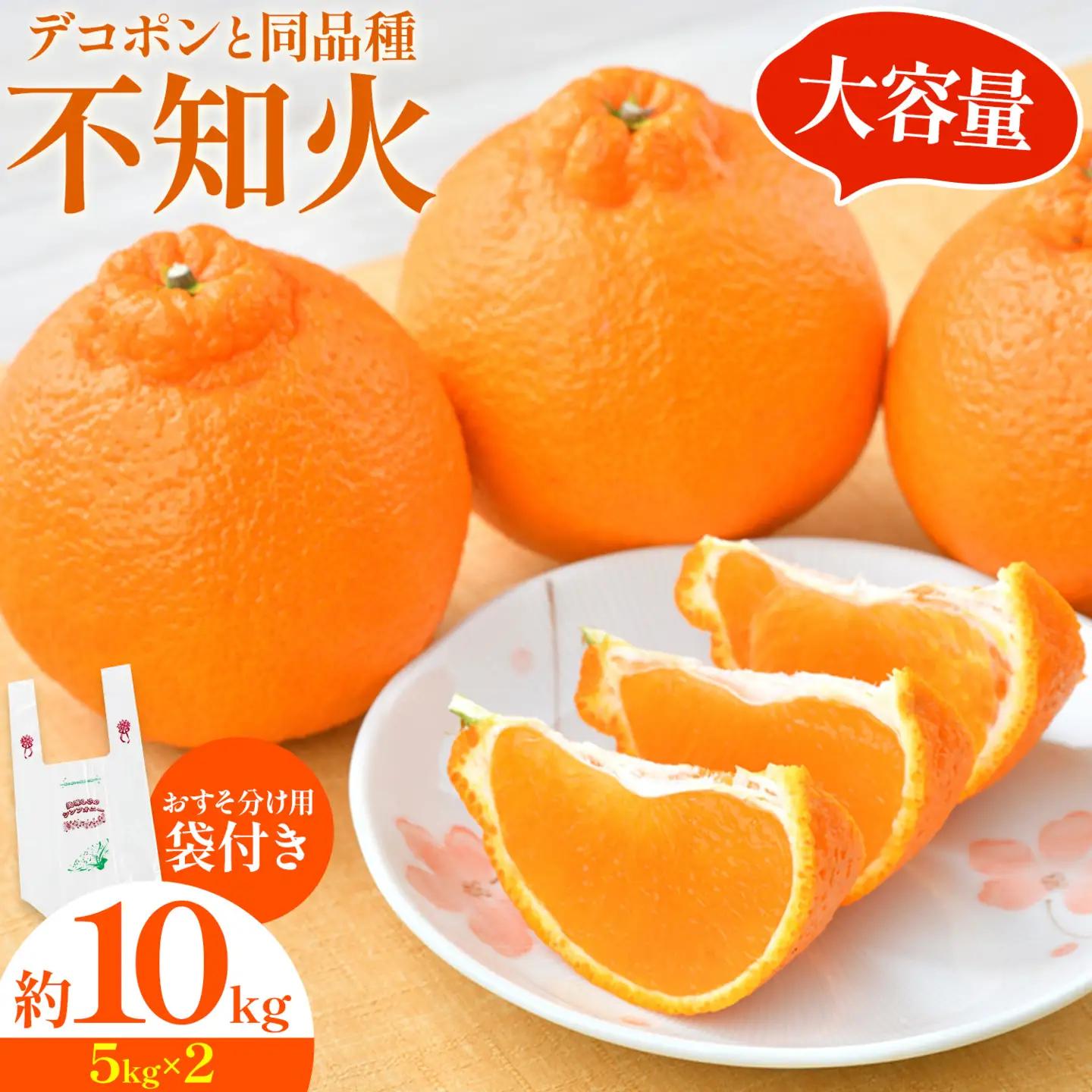 不知火   10kg  日本フルーツ株式会社 熊本県 荒尾市 《2月上旬-4月上旬頃出荷》 デコポン 果物 フルーツ スイーツ デザート ギフト ご贈答 しらぬい