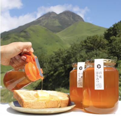 ふるさと納税 由布市 由布市産 「おおいた百花はちみつ」1kg×2本