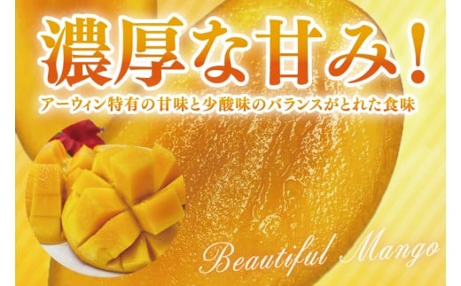【2026年6月より順次発送】【先行予約】アーウィンマンゴー 3～6玉(約1.5kg)【白箱】 ご家庭用｜マンゴー アーウィンマンゴー アーウィン フルーツ 果物 くだもの おきなわマンゴー おきなわ