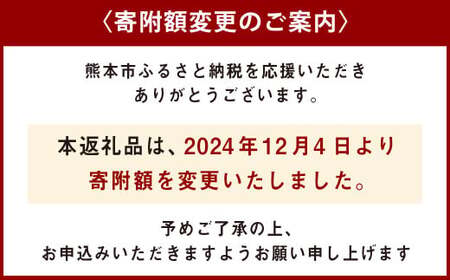 熊本県産 小玉すいか ＆ 肥後グリーンメロン 各1玉 果物 フルーツ セット ギフト 贈答品 贈り物 【2025年5月下旬～6月上旬発送予定】