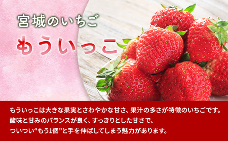 亘理町のいちご もういっこ 250g×4パック 仙台いちご イチゴ