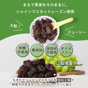 グラノーラ 食べ比べセット 60g×4袋 桃 柿 シャインマスカット ドライフルーツ入り 無添加【1575388】