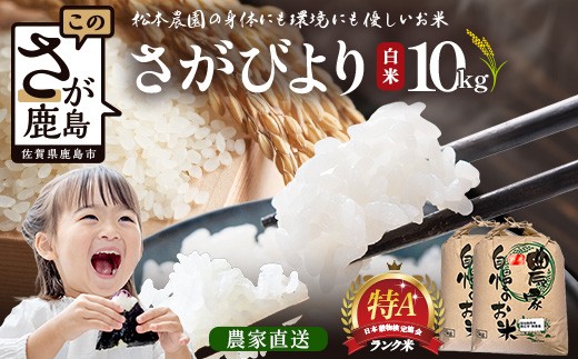 
                  先行受付 令和8年産 新米 さがびより 10kg 佐賀県産 特A評価獲得品種 白米 米 お米 こめ 佐賀県 鹿島市 D-302
                