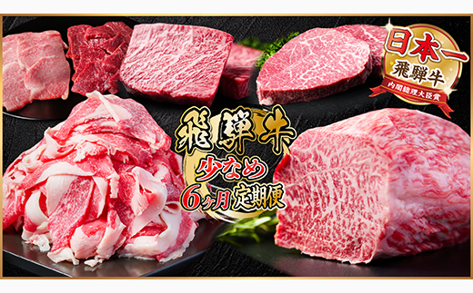 【毎月定期便】飛騨牛 少なめ定期便 計2.5kg 全6回 ステーキ、切り落とし、焼肉、赤身ブロック肉【配送不可地域：離島】