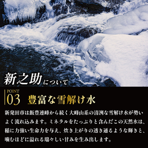 新之助 令和7年産【新之助】 10㎏   数量限定 echigosugatani003