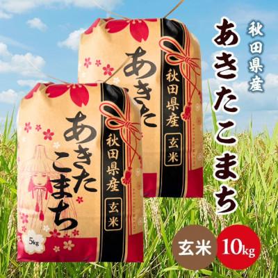 ふるさと納税 潟上市 【毎月定期便】秋田県産あきたこまち 10kg(5kg×2袋)(玄米)全3回
