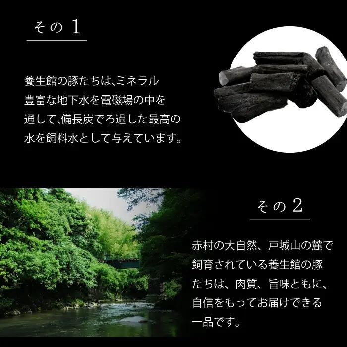 赤村養生館 豚ブロック肉セット 2.3kg B15