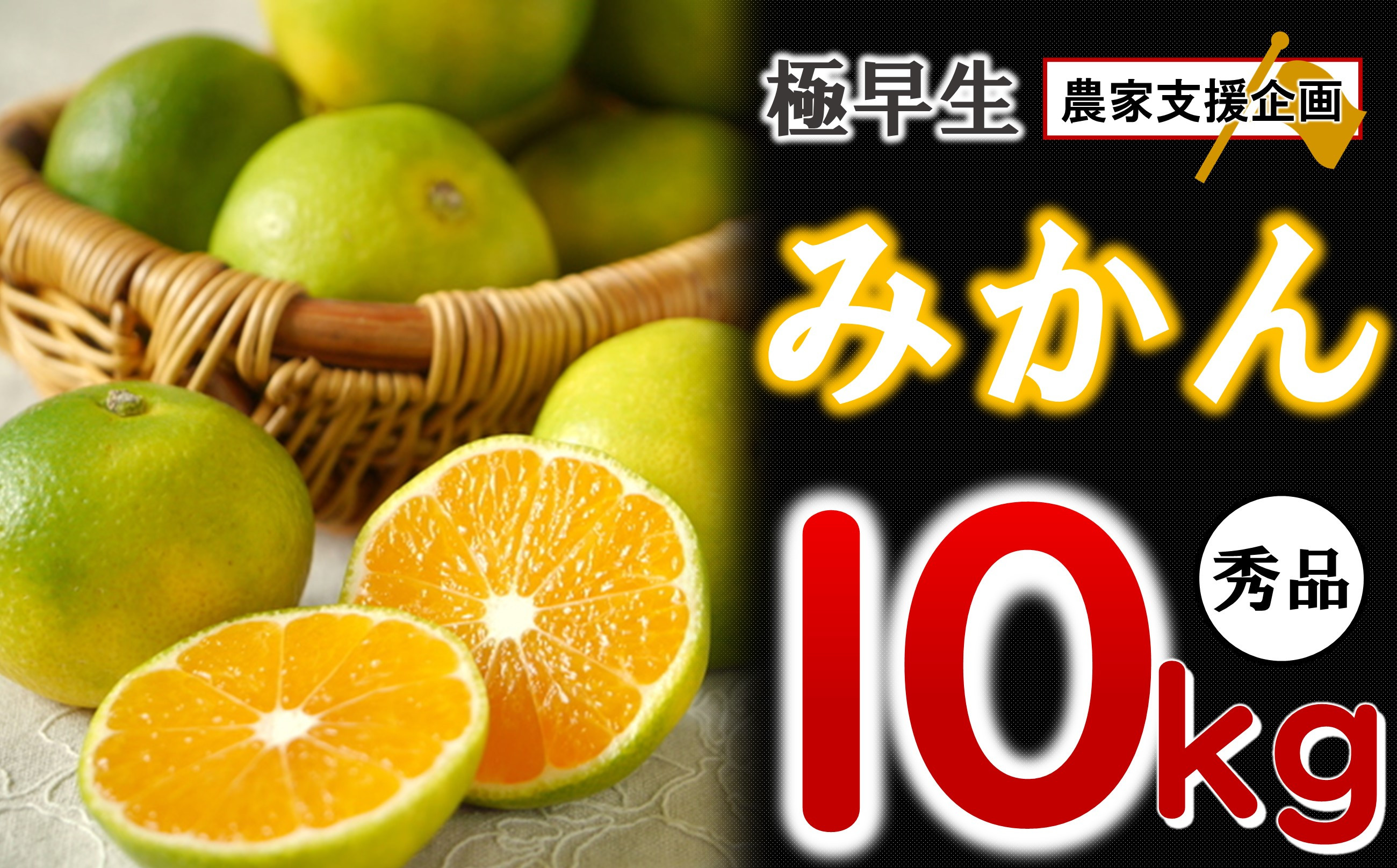 
            【 先行予約 】 極早生 みかん 期間限定 10kg | 熊本県 熊本 くまもと 和水町 なごみまち なごみ 果物 フルーツ 柑橘 柑橘類 極早生 早生
          
