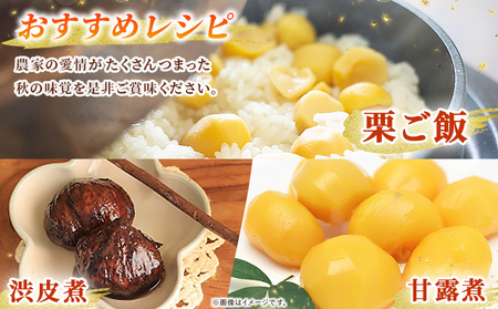 ＜栗の王様 銀寄栗（生栗）2L（約1kg）＞ 銀寄 ぎんよせ 甘い 生栗 和栗 マロン 栗 くり 栗ごはん 栗きんとん 甘露煮 旬 国産 産地直送 城川ファクトリー 愛媛県 西予市【冷蔵】『2026年
