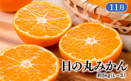 【定期便】【愛媛県共通返礼品】愛媛のかんきつ定期便（全6回）（日の丸みかん・紅まどんな・伊予柑・不知火・せとか・河内晩柑) ｜みかん 蜜柑 日の丸みかん 紅まどんな 伊予柑 不知火（デコポン） せとか