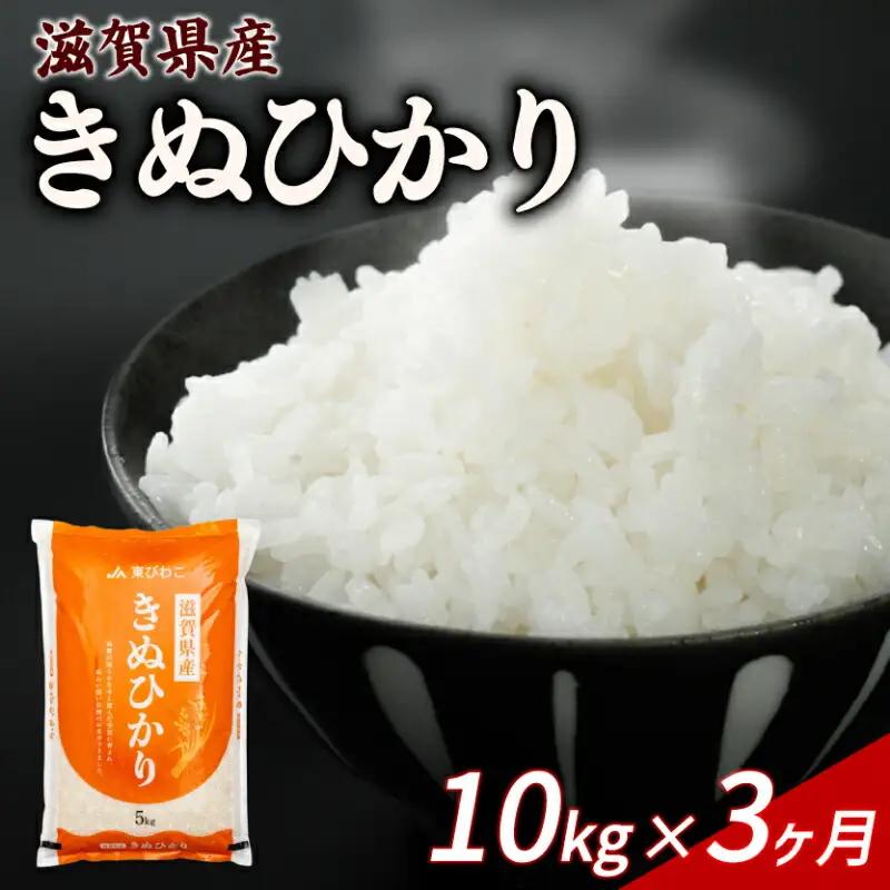 【3ヶ月定期便】きぬひかり 10kg 令和7年産 キヌヒカリ 定期便 お米 米