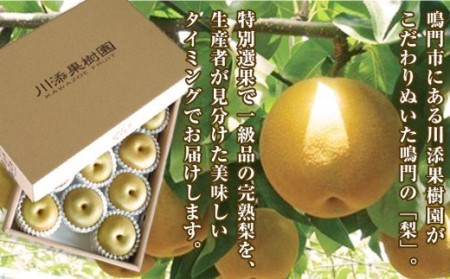 【予約受付中・2026年8月上旬頃より順次発送】川添果樹園の特選梨 約5kg フルーツ 果物 梨 ナシ 完熟梨 季節の梨 くだもの 　特選
