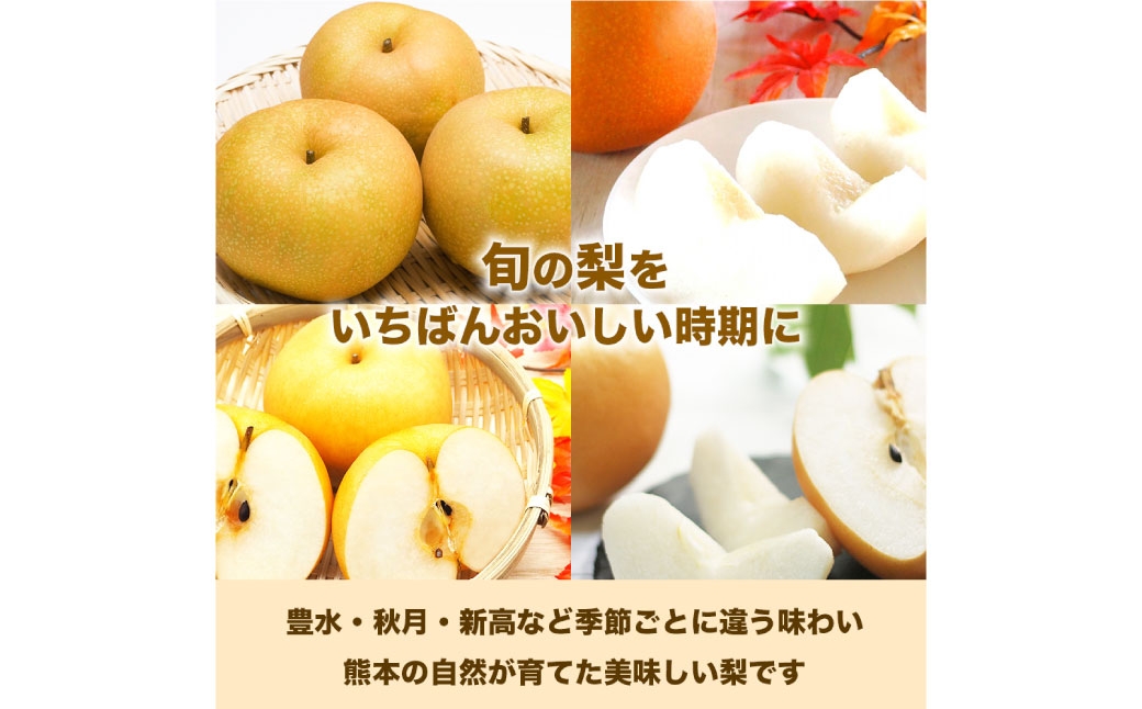 各種梨おまかせ幸水豊水秋月新高新興秋麗甘太凜果にっこり愛宕約5kg（6～18玉）