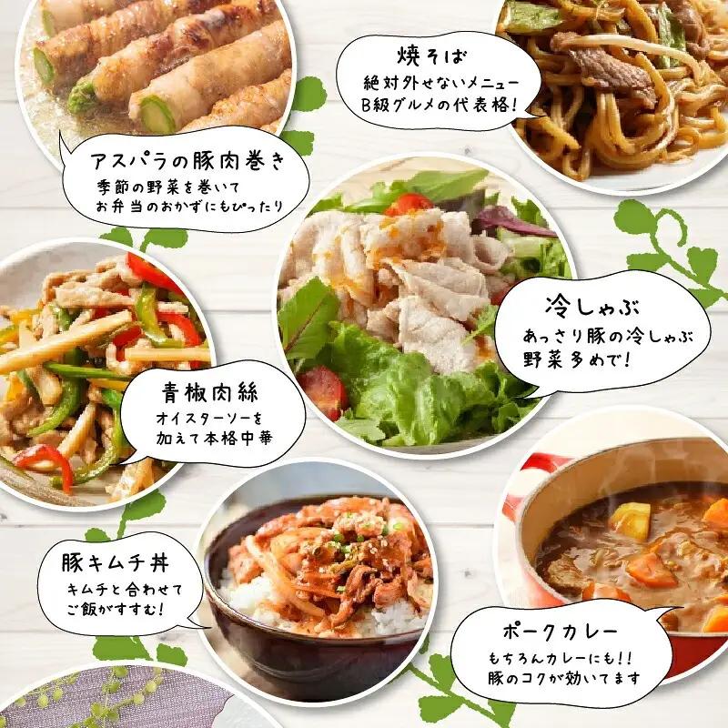 豚肉 切り落とし 豚肉[宮崎県産 3kg 250g×12P]