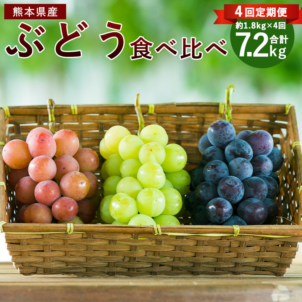 【ふるさと納税】 【4回定期便】ぶどう食べ比べ （7月・8月・9月・10月）シャインマスカット ピオーネ 種無しぶどう 巨峰 フルーツ 果物 葡萄 ブドウ 先行予約 送料無料 【2026年7月下旬～10月下旬迄順次発送予定】