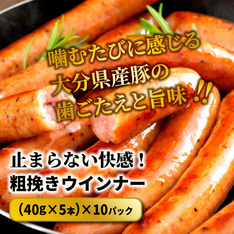 【ご好評につき1ヶ月待ち】止まらない快感! 粗挽きウインナー 2kg ソーセージ あらびき ブランド豚使用 バーベキュー BBQ_1499R