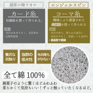 レイユールハンドタオル3枚組(スイートハニー)【1666430】