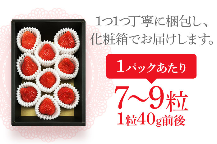＜2026年1月～2月頃発送予定＞あまおうプレミアム BD02