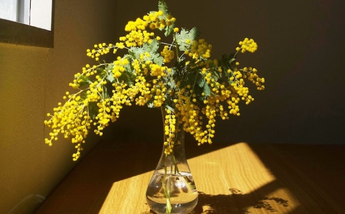 生花 フラワー インテリア 花 お花 花束 ギフト プレゼント ガーデニング