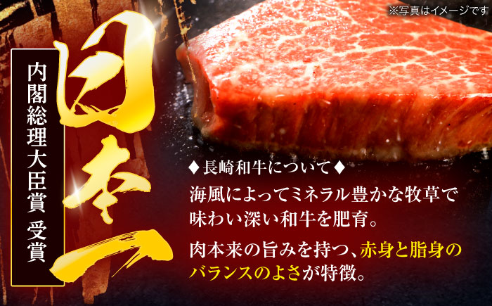 長崎和牛 ヒレステーキ 120g×2枚【株式会社田中精肉店】 [OCA057]