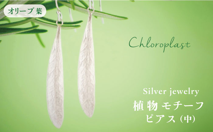 
植物 モチーフ オリーブ 葉 ピアス ( 中 )《糸島》【Chloroplast / クロロプラスト】 [ALF004]
